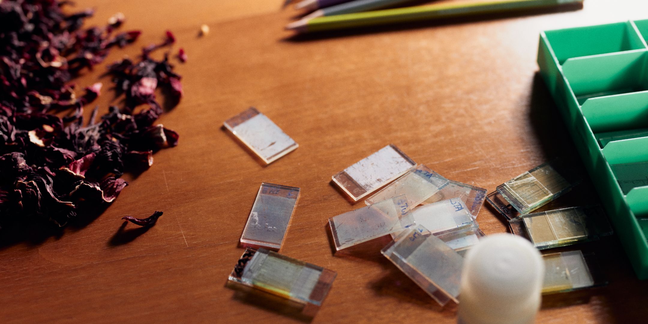 Grüne Energie aus Früchtetee