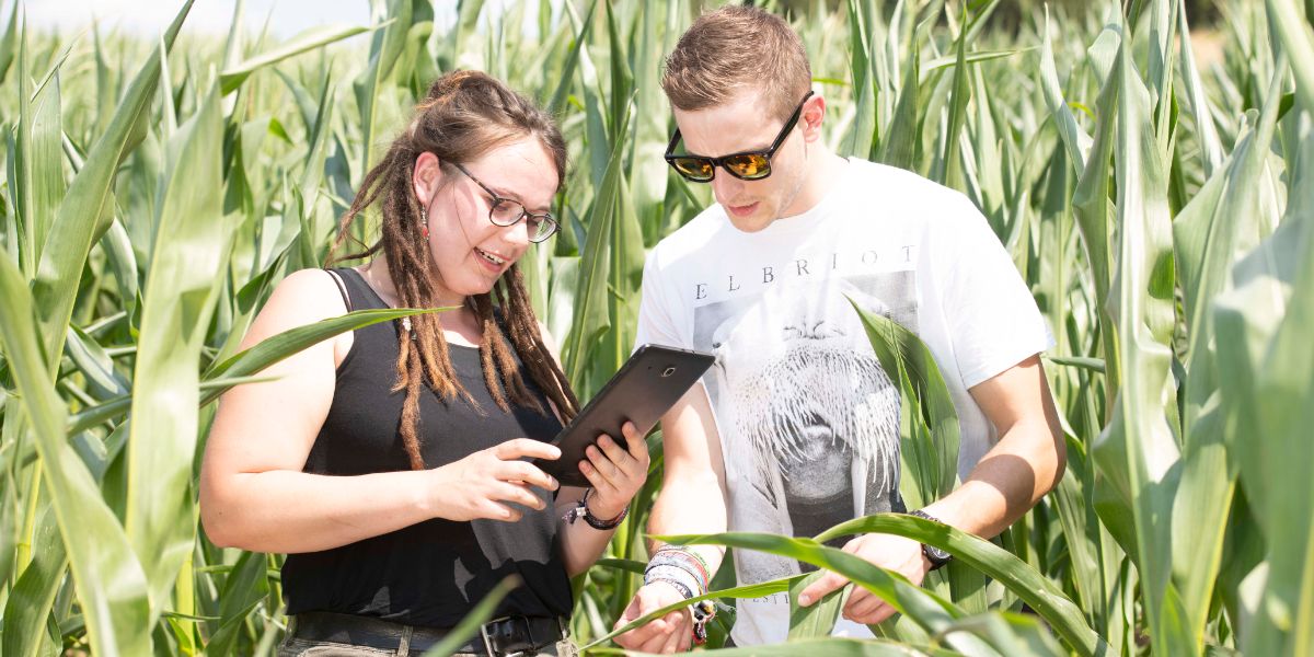 Algorithmen für den Ackerbau