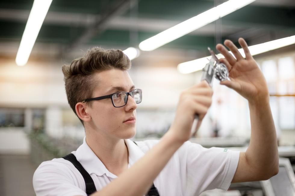 Schaeffler Technologies AG & Co. KG