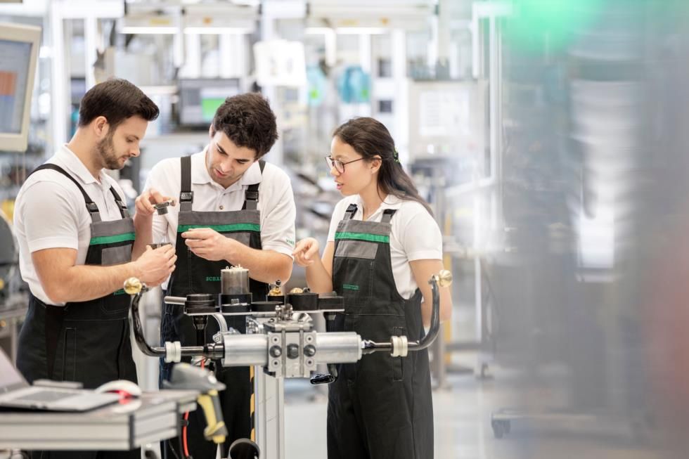 Schaeffler Technologies AG & Co. KG