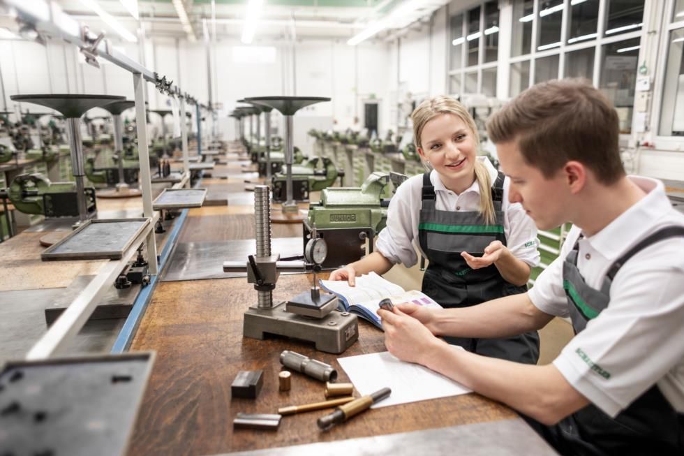 Schaeffler Technologies AG & Co. KG