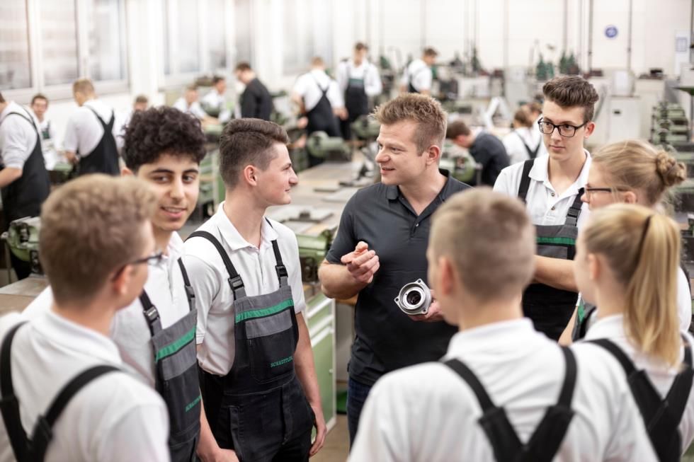 Schaeffler Technologies AG & Co. KG