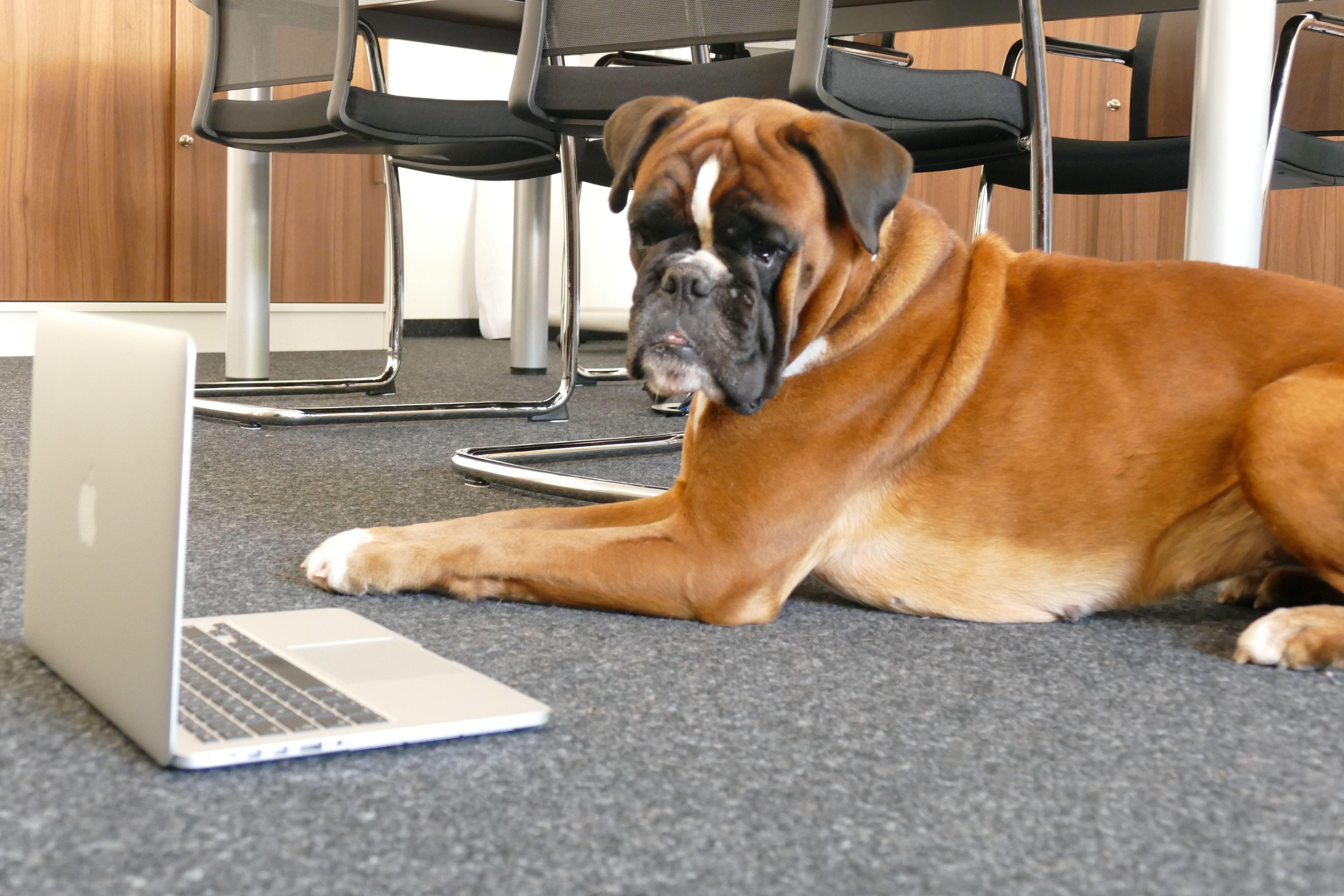 Armaturenfabrik FRANZ SCHNEIDER GMBH & Co. KG