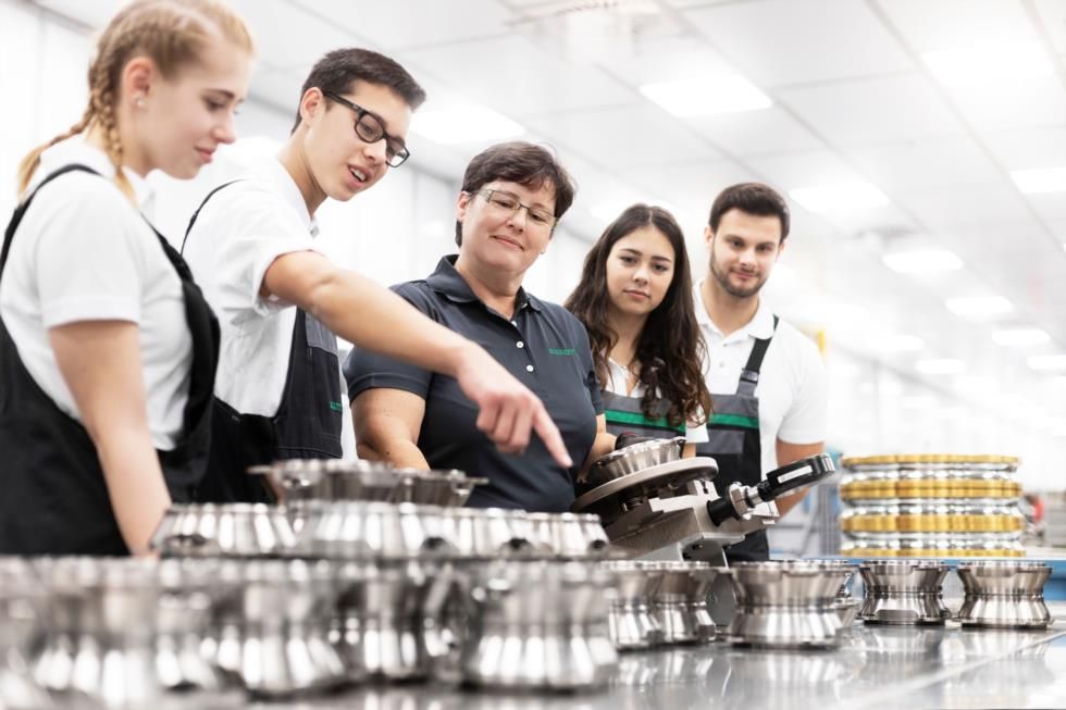 Schaeffler Technologies AG & Co. KG