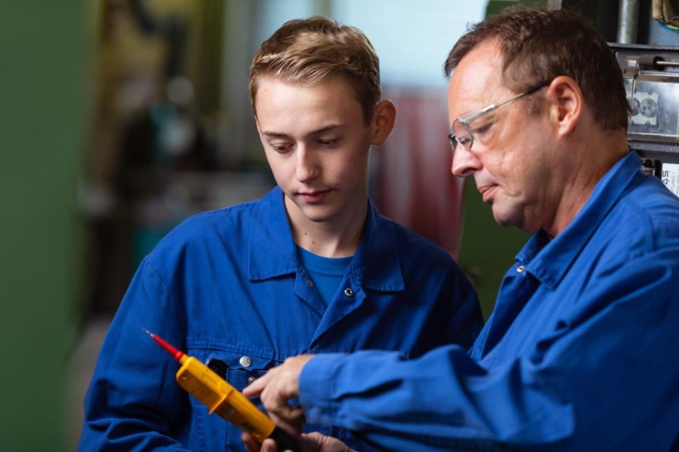 Pfeifer & Langen GmbH & Co. KG