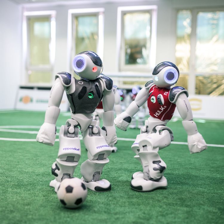 Die Angebote an Hochschulen sind oft bunt gemischt, von Robotik bis Sport oder beides