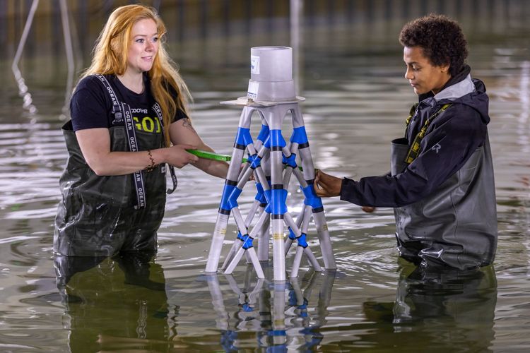 Einblick in die Forschung
