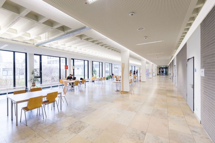 Lernen, Essen und Entspannen