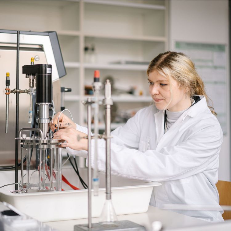 Am Bioreaktor baut Isabel eine Temperatursonde ein