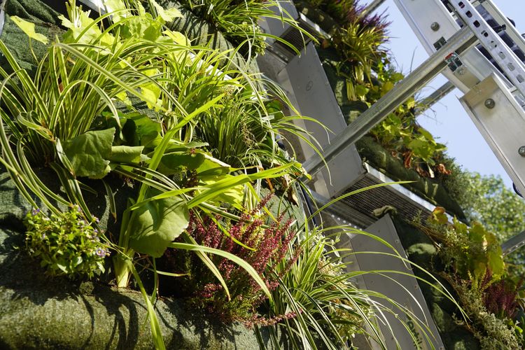 ... Begrünung, PV und Wasseraufbereitung