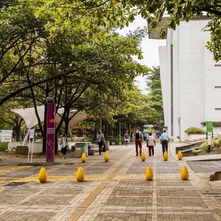 Die Grüne Lunge - so wird der Campus Lauredes mitten in der Stadt bezeichnet