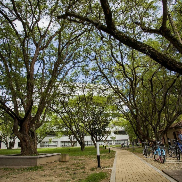 Wer es eilig hat, fährt mit dem Fahrrad über den Campus. Hierfür gibt es extra Fahrradwege.
