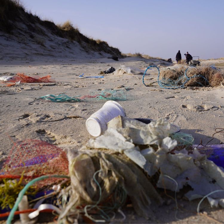 Für eine plastikfreie Umwelt: Als Ingenieur*in kann man richtig was bewegen